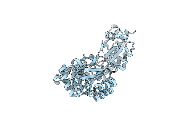 8PUS image