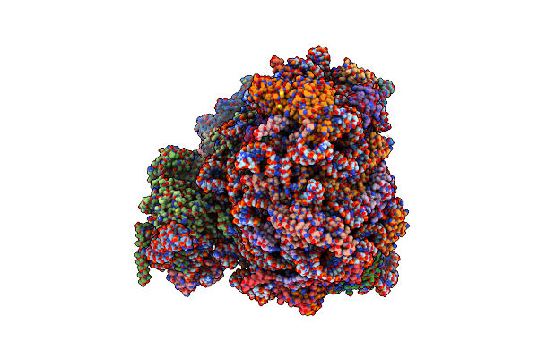 8PV5 image