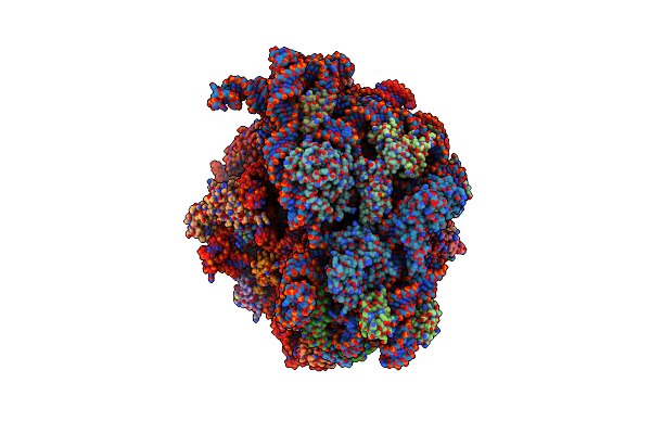 8PVA image