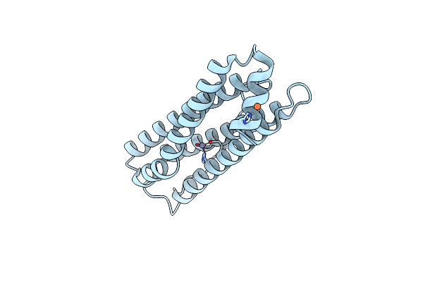 8PVC image