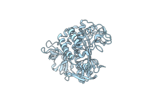 8PVG image