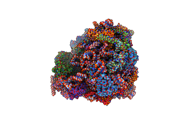 8PVK image