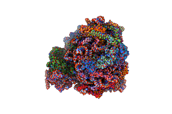 8PVL image