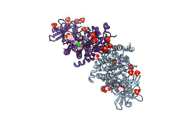8PVO image