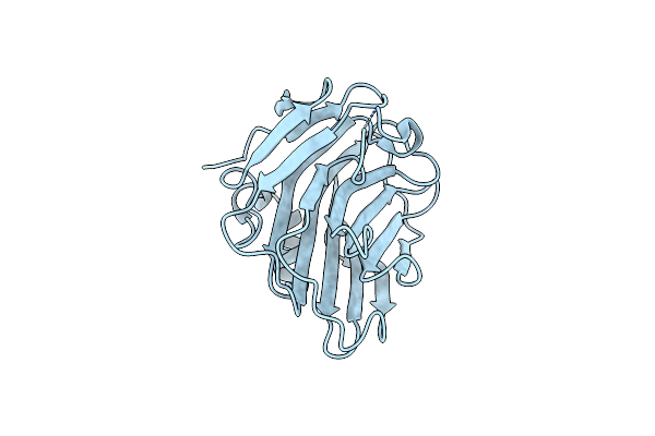 8PVQ image
