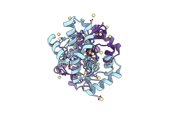 8PVT image