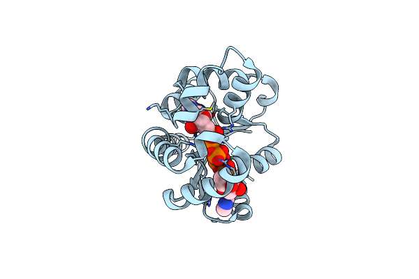8PVW image