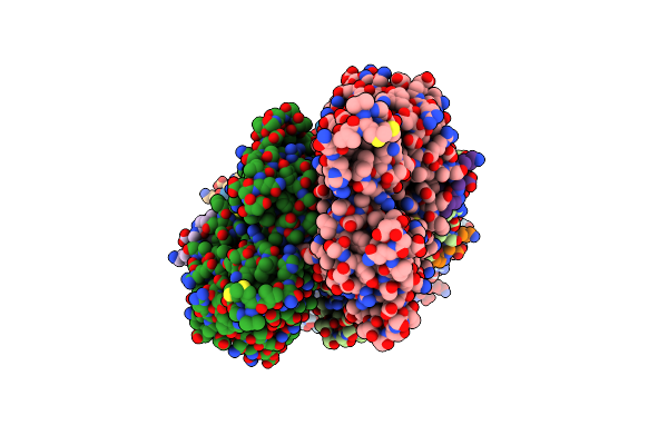 8PVX image