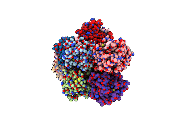 8PW1 image