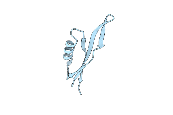 8PW2 image