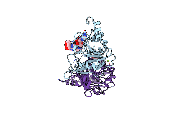 8PW9 image