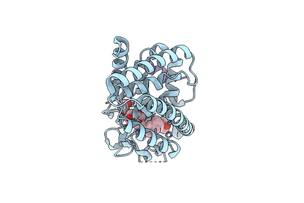 8PWE image