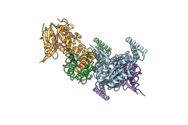 8PX1 image