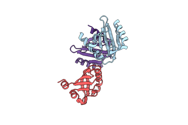 8PX4 image