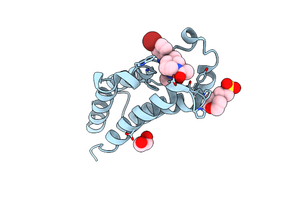 8PX8 image