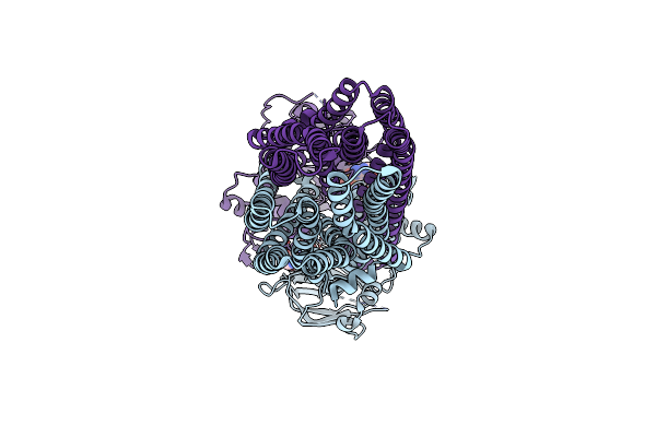 8PX9 image