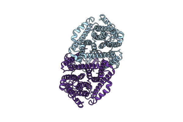 8PXB image