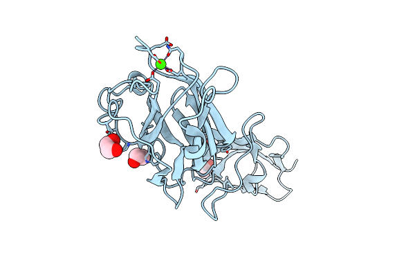 8PXC image