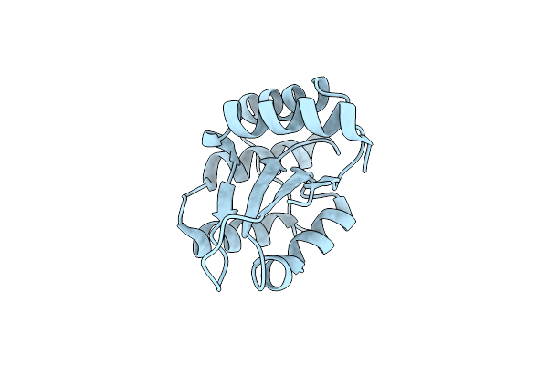 8PXD image