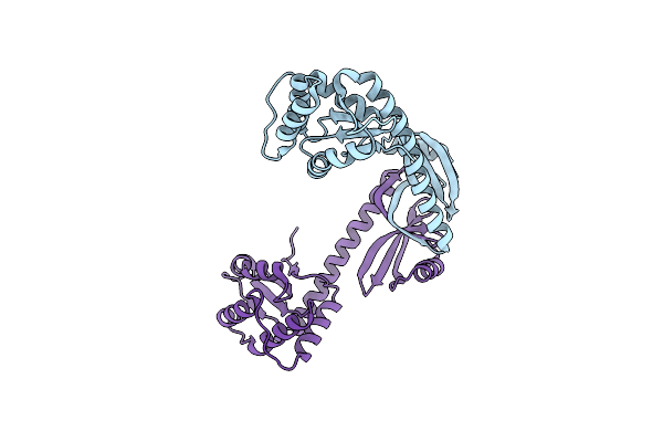 8PXF image