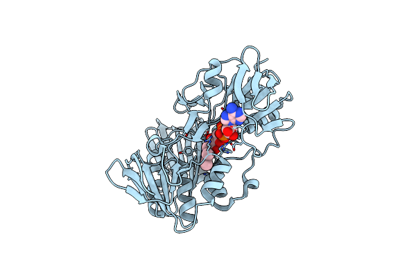 8PXK image