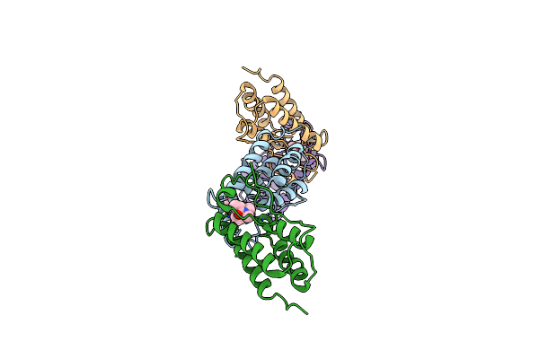 8PXN image