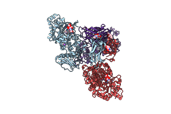 8PXT image