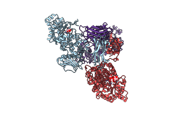 8PXV image