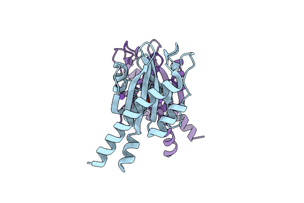 8PY0 image