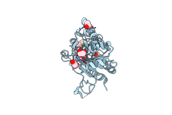 8PY3 image