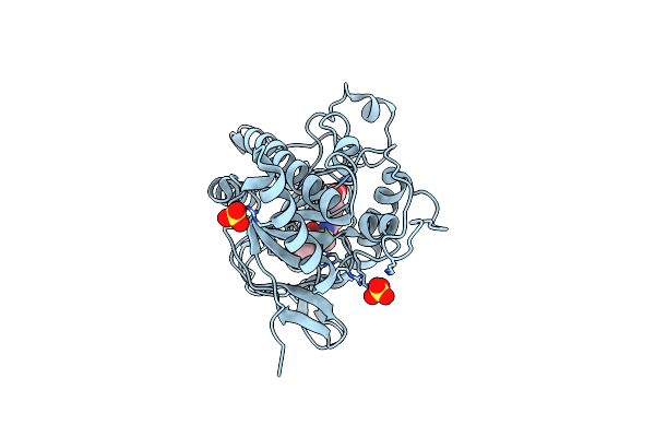 8PY5 image