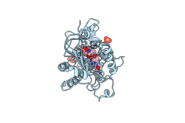 8PY6 image