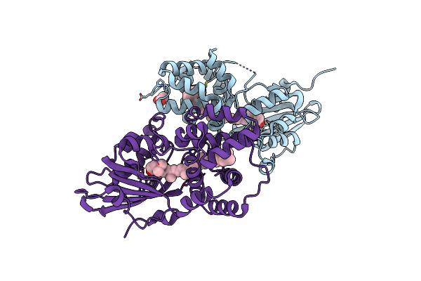 8PYH image