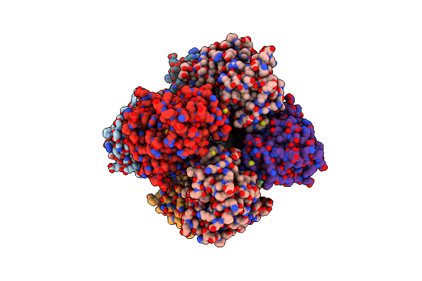 8PYI image