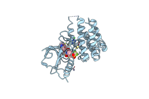 8PYJ image