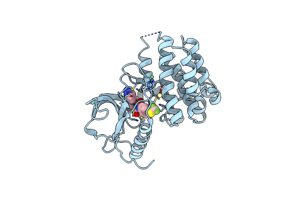 8PYM image