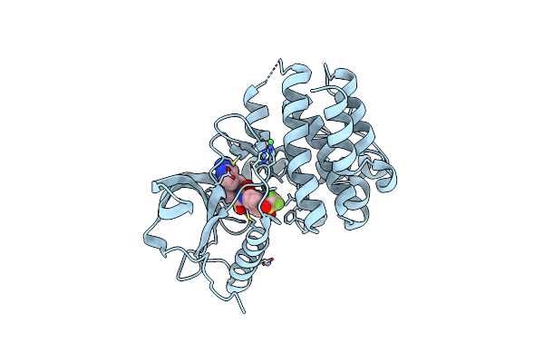 8PYN image