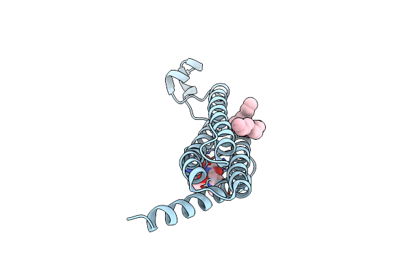 8PYV image