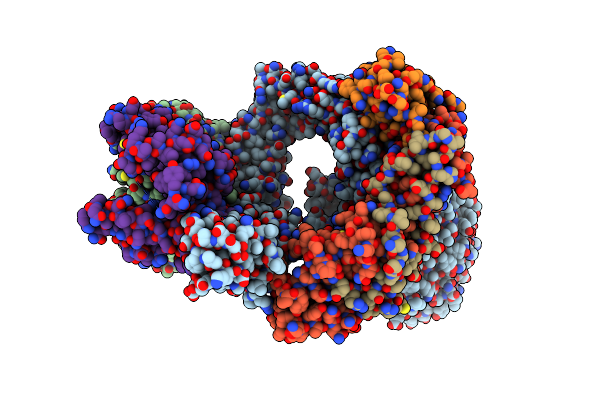 8PZ2 image