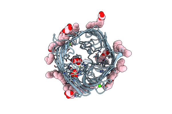 8PZ4 image