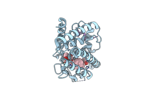 8PZ7 image