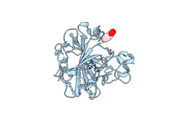 8Q0C image
