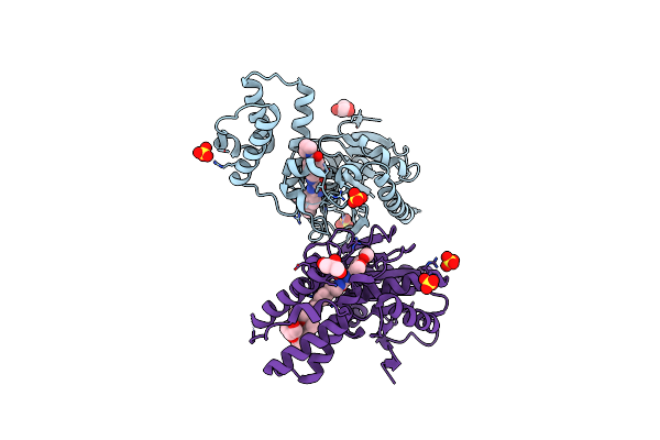 8Q17 image