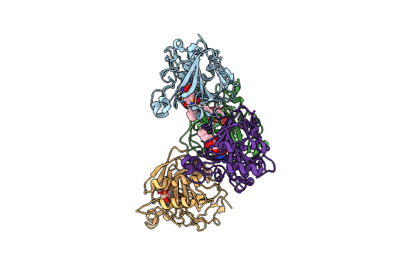 8Q1A image