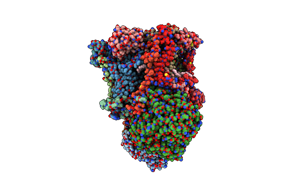 8Q1B image