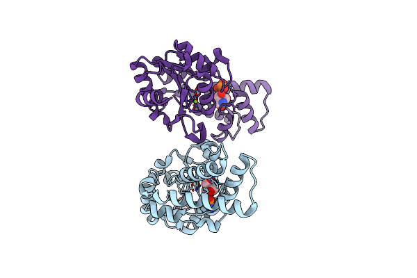 8Q1C image