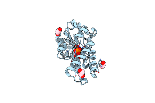 8Q1D image