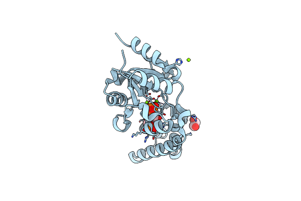 8Q1E image