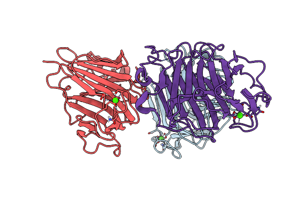 8Q2A image