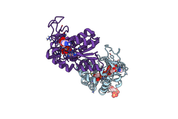 8Q2B image